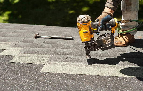 Best Roof Gutter Cleaning  in North Hudson, WI